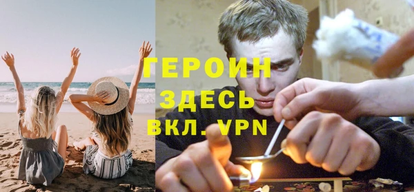 прущие грибы Бронницы