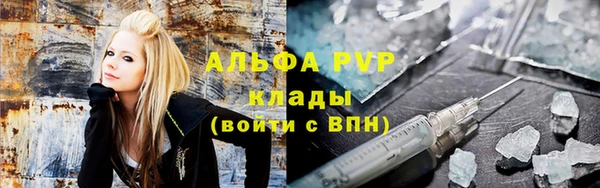 стафф Володарск